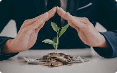 Safeguarding Investments